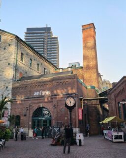 #DistilleryTO Thanksgiving long weekend hours. ⏳🍂
⠀⠀⠀⠀⠀⠀⠀⠀⠀
𝙵𝚛𝚒𝚍𝚊𝚢, 𝙾𝚌𝚝 𝟷𝟶𝚝𝚑 ⎸10 am to 9 pm
𝚂𝚊𝚝𝚞𝚛𝚍𝚊𝚢, 𝙾𝚌𝚝 𝟷𝟷𝚝𝚑 ⎸10 am to 9 pm
𝚂𝚞𝚗𝚍𝚊𝚢, 𝙾𝚌𝚝 𝟷𝟸𝚝𝚑 ⎸11 am to 8 pm
𝙼𝚘𝚗𝚍𝚊𝚢, 𝙾𝚌𝚝 𝟷𝟹𝚝𝚑 ⎸ 10 am to 8 pm
⠀⠀⠀⠀⠀⠀⠀⠀⠀
Join us for the last few performances of The Distillery’s Fall Music Series, a cozy weekend of festive fun, delicious food and autumn vibes, Toronto! 🍂