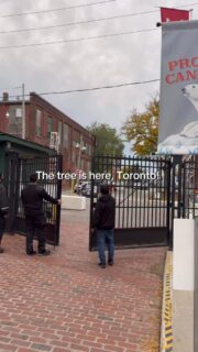 THE TREE HAS LANDED, TORONTO! 🏗️🎄🥳 The unofficial start of the holiday season has arrived!

Today, #DistilleryTO welcomed a magnificent 55-foot silver fir from Drysdale’s Tree Farm (@drysdalestreefarm) in Mono Township — hand-picked as their most beautiful fir of the season.

It’s destined to be the tallest real Christmas tree in the GTA and the dazzling centrepiece of The Distillery Winter Village — Toronto’s iconic Christmas market.

This year, we’re proud to partner with Habitat for Humanity GTA (@habitatgta). After the season, the tree will be donated to be used as mulch and reclaimed wood helping support 60 new homes planned to be built in the Greater Toronto Area in 2026.

As its branches settle, the two-week transformation begins, leading up to our beloved Tree Lighting Ceremony — when the lights switch on and the city’s holiday spirit officially begins! JOIN US ↴

📆 Thursday, November 13, 2025
⏰ Festivities begin at 6 pm
🎟️ Tickets required for Opening Night — all profits support our charity partners: @supportanishnawbe, @soulpeppertheatre, and @torontostarchildrenscharities.

🎄 Plan your visit:
Head to thedistillerywintervillage.com or click the link in bio for tickets, hours, and all the festive details.

🎥 Can’t make it in person?
Catch the magic from anywhere — this year, for the first time, we’ll be *live-streaming* The Tree Lighting Ceremony on YouTube, Instagram, Facebook, and TikTok!

#DistilleryWinterVillage #torontochristmasmarket #DistilleryTO #christmasintoronto #todotoronto #thingstodointoronto