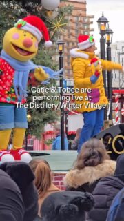 Hey, Toronto! See Caitie & Tobee at The Distillery Winter Village this holiday season! 🎄✨

Join @supersimplecaitie and Tobee on select dates for holiday classics, fun Super Simple songs, and family-friendly festive magic. Plus — enjoy meet-and-greet opportunities and shop brand-new @supersimpleofficial merch available at each performance! 💛🎶

All performances begin at 3 pm:
 🎄 November 19, 2025
 🎄 November 20, 2025
 🎄 December 10, 2025
 🎄 December 11, 2025
 🎄 December 12, 2025
 🎄 December 15, 2025
 🎄 December 16, 2025
 🎄 December 17, 2025*

* Special Holiday Meet & Greet on December 17! First-come, first-served from 4–5 pm.

Mark your calendars — and don’t miss this magical holiday event with Caitie & Tobee from Super Simple! ✨