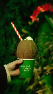 Step out of winter and into Pura Vida. ✨
⠀⠀⠀⠀⠀⠀⠀⠀⠀
Find warmth, colour, and connection at The Pura Vida Chocolate Experience — an immersive new activation by @visit_costarica at The Distillery Winter Village.
⠀⠀⠀⠀⠀⠀⠀⠀⠀
Sip coconut hot chocolate served in real coconuts 🥥, taste tropical fondue, and explore a one-of-a-kind 3D rainforest experience that lets you virtually wander Costa Rica’s beaches, volcanoes, and lush jungles.
⠀⠀⠀⠀⠀⠀⠀⠀⠀
Step inside and say hello to your Pura Vida moment. Discover why Costa Rica is more than a destination — it’s a feeling. 💫🌿
⠀⠀⠀⠀⠀⠀⠀⠀⠀
📍Find The Pura Vida Chocolate experience on the @archeotoronto patio this season at The Distillery Winter Village.
⠀⠀⠀⠀⠀⠀⠀⠀⠀
#VisitCostaRica #DistilleryWinterVillage #PuraVida #CostaRica