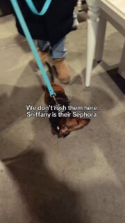 The goodest fur-babies get @sniffanycanada under the tree! 💝🦴
⠀⠀⠀⠀⠀⠀⠀⠀⠀
From treats and toys to collars, leashes, and custom dog cookies, @sniffanycanada is a must-stop during your Distillery Winter Village stroll.
⠀⠀⠀⠀⠀⠀⠀⠀⠀
This Canadian-owned pet boutique is all about quality, charm, and supporting local — with thoughtfully sourced, Canadian-made finds your pup will love.
⠀⠀⠀⠀⠀⠀⠀⠀⠀
Visit Sniffany & Co. at 10 Case Goods Lane for tail-wagging holiday gifts. 🎄