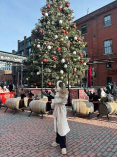 Here’s to making it a December to remember, Toronto! 🎄💫❄️
⠀⠀⠀⠀⠀⠀⠀⠀⠀
Book your tickets early and claim your spot under the tree — the season’s most iconic holiday stroll starts at The Distillery. 🥰
⠀⠀⠀⠀⠀⠀⠀⠀⠀
📸: @rachromani