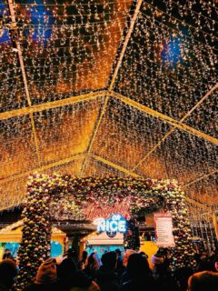 Twinkling lights, winter nights, and festive sights. ✨🎄
⠀⠀⠀⠀⠀⠀⠀⠀⠀
📸: @julian.halm