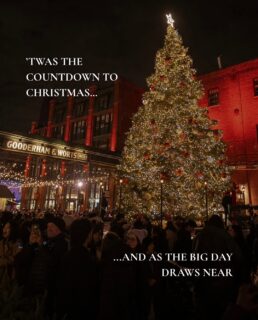 THE COUNTDOWN TO CHRISTMAS IS ON, TORONTO! ⏰🎅
⠀⠀⠀⠀⠀⠀⠀⠀⠀
Check out our festive schedule below ⤵️
⠀⠀⠀⠀⠀⠀⠀⠀⠀
TUESDAY, DECEMBER 23 ⤵
❄️ Before Santa heads back to the North Pole, join us at Santa’s Village for a cozy story time reading of ’Twas the Night Before Christmas. Pajamas encouraged! Starts at 6:30 pm.
❄️ The Distillery Winter Village outdoor shopping cabins and food vendors are open from 12 - 9 pm (tickets required after 4 pm)
⠀⠀⠀⠀⠀⠀⠀⠀⠀
WEDNESDAY, DECEMBER 24 ⤵
❄️ @distilleryto restaurants, cafés, and retailers open from 10 am to 6 pm
❄️ The Distillery Winter Village outdoor shopping cabins and food vendors are open from 12 - 6 pm (tickets required after 4 pm)
⠀⠀⠀⠀⠀⠀⠀⠀⠀
THURSDAY, DECEMBER 25 ⤵
❄️ @distilleryto restaurants, cafes, retailers, The Distillery Winter Village outdoor shopping cabins, and food vendors are CLOSED
⠀⠀⠀⠀⠀⠀⠀⠀⠀
FRIDAY, DECEMBER 26 ⤵
❄️ @distilleryto restaurants, cafés, and retailers open from 12 to 5 pm
❄️ The Distillery Winter Village outdoor shopping cabins and food vendors are open 12 - 10 pm (tickets required after 4 pm)
⠀⠀⠀⠀⠀⠀⠀⠀⠀
We can’t wait to holiday together, Toronto! ❤️