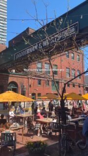 Why would you wanna be anywhere else, Toronto?? ☀️

Stop by for FREE live music from 2-5 pm in and hit our ‘VENDOR’ highlight for our summer seasonal vendor schedule! Plus, shop and eat from some of the best local restaurants and boutiques in the city!

It’s all happening at The Distillery District📍