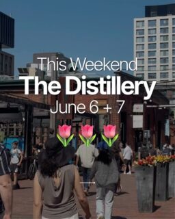 Need some fun FREE plans this weekend? Say less. We’ve got you covered. 🫶

🎬 TRINITY MOVIES
Free outdoor films at the stage on Trinity Street. Bring your blanket and a lawn chair, grab popcorn from the concession, and settle in.

Sat Jun 6 · 11 am — Flushed Away
Sun Jun 7 · 11 am — The Croods

🎶 LIVE MUSIC
Free performances on the stage, both days from 2–5 pm.

Sat Jun 6  — Mike Ferfolia Trio (@mikeferfolia)
Sun Jun 7 — River North Duo (@rivernorthcanada)

🛍️ SUMMER SEASONAL VENDORS 
Open 12 pm to 5 pm on Gristmill Lane. 

Head to our ‘VENDOR’ highlight for this week’s lineup of talented local artisans popping up at our vendor market carts. 

—

[Things to do in Toronto, free things to do Toronto, free events Toronto, weekend in Toronto, Distillery District, outdoor movies Toronto, live music Toronto, things to do this weekend Toronto, hidden gems Toronto]