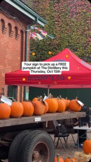 Send this to someone who loves a little fall freebie! 🧡
Our friends at @property_ca are bringing back their annual Pumpkin Giveaway! 🎃 Stop by The Distillery, grab a FREE pumpkin and enjoy a coffee while you’re here.
One day only: Thursday, October 15th, starting at 10 am. You’ll find them behind @balzacscoffee, so stop by and say hi!
*One pumpkin per person, while supplies last!