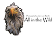 All in the Wild Logo Colour