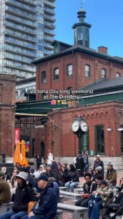 THINGS TO DO AT THE DISTILLERY THIS LONG WEEKEND! 🌼

Join us in the heart of the city for a long weekend filled with live music, family fun and unforgettable moments in #DistilleryTO! CHECK IT OUT! ↴

🍁 MAPLEE VENDOR MARKET ⏐ MAY 16TH TO 18TH FROM 11 AM - 6 PM 
The @mapleecanada pop-up market features a curated selection of Canadian vendors across fashion, art, handmade goods, lifestyle, wellness, specialty food, and more! Located on Gristmill Lane 📍

🛍️ SUMMER SEASONAL VENDORS ⏐  BEGINS MAY 15TH FROM 12 PM - 5 PM
Our summer vendor carts are open! Browse unique finds from talented local artisans! Located on Gristmill Lane 📍

🎬 TRINITY MOVIES ⏐  MAY 16TH + 18TH AT 11 AM 
Free outdoor films at the stage on Trinity Street. Bring your blanket and land chair, grab popcorn from the concession and settle in!

🎷 LIVE MUSIC ⏐  MAY 16TH - 18TH FROM 2 PM - 5 PM
Enjoy free performances on the stage from incredible local artists, bringing folk, rock and pop sounds to life!

⛱️ PATIO DINING 
Grab a seat on one of the many Distillery patios. From @millstreetbrewpub, @spiritspure to @elcatrinca and @madrina.to, there is something for everyone!

🛍️ LOCAL SHOPPING ⏐ REGULAR HOURS OF OPERATION
The Distillery Historic District Retail Boutiques, Cafés and Bakeries will be open all weekend long!

👉 Head to our link in bio and click on ‘DISTILLERY EVENT CALENDAR’ for more info! 🔗