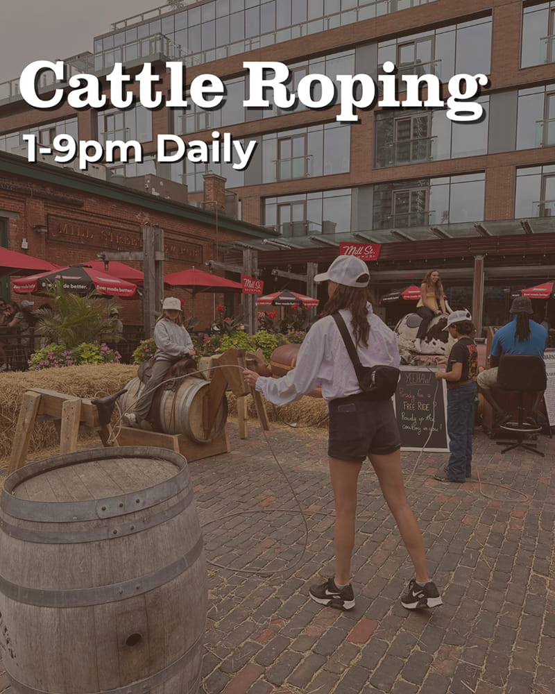 Cattle Roping 1