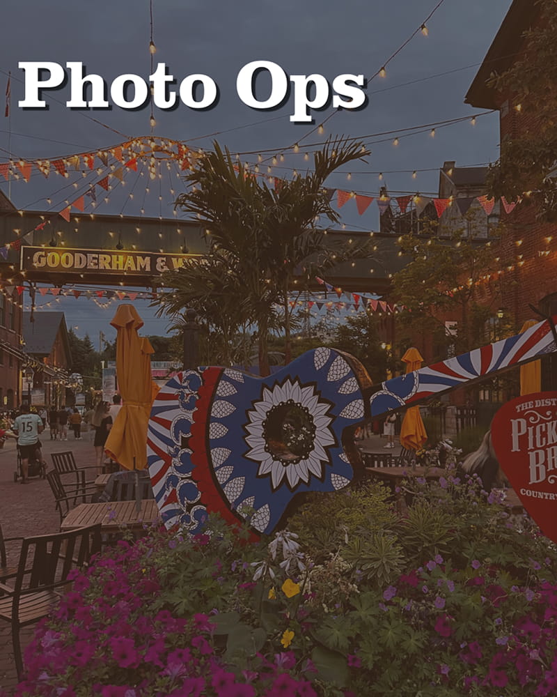 Photo Ops 1