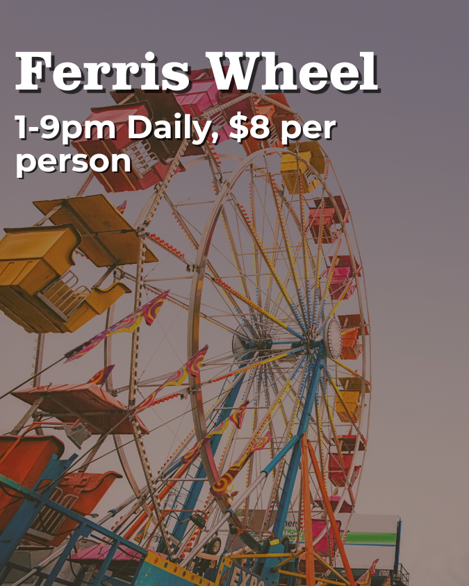 August 11th Ferris Wheel (1)